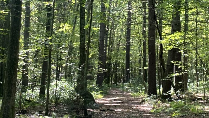 Rider Park - Trout Run, PA