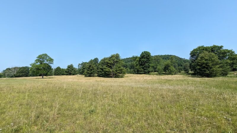 Rider Park - Trout Run, PA