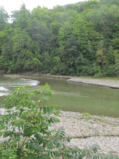 State Game Lands Number 133 - Trout Run, PA