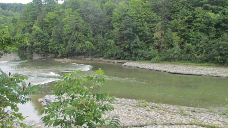 State Game Lands Number 133 - Trout Run, PA