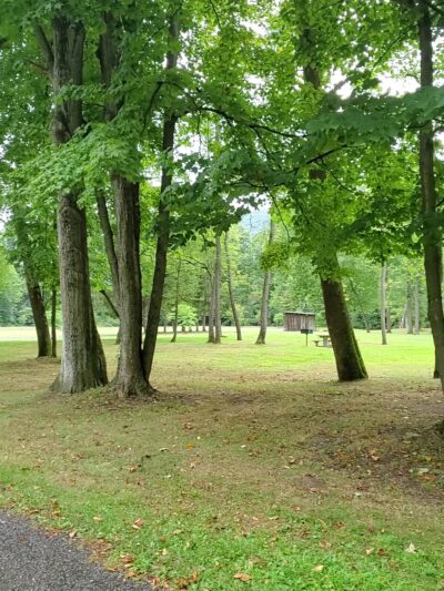 Trout Run Park - Trout Run, PA