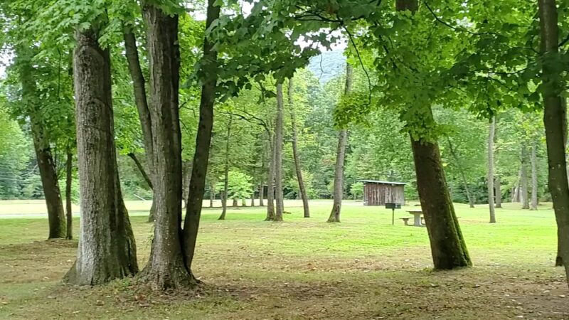 Trout Run Park - Trout Run, PA