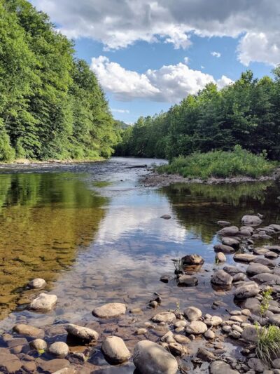 Trout Run Park - Trout Run, PA