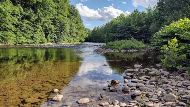 Trout Run Park - Trout Run, PA