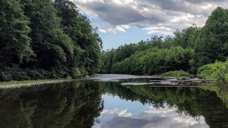 Trout Run Park - Trout Run, PA