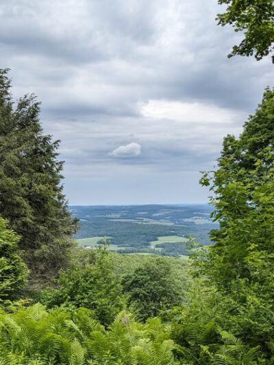 Mt. Pisgah County Park - Troy, PA