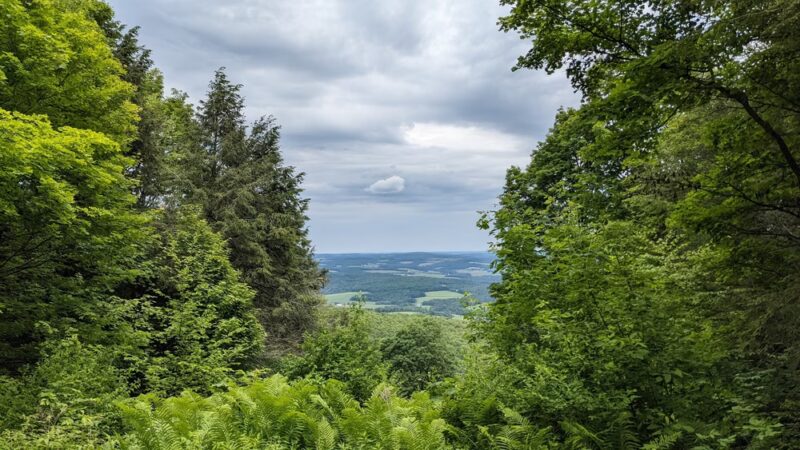 Mt. Pisgah County Park - Troy, PA
