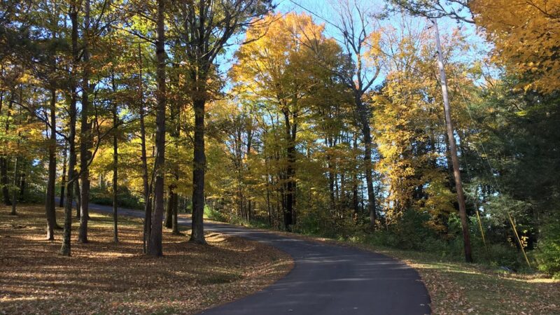 Mt. Pisgah County Park - Troy, PA