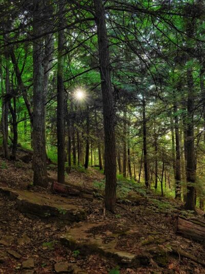 Mt. Pisgah County Park - Troy, PA