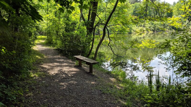 Jacksonville Community Park - Trumansburg, NY
