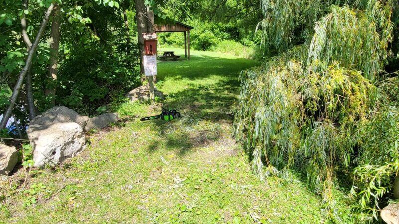 Jacksonville Community Park - Trumansburg, NY