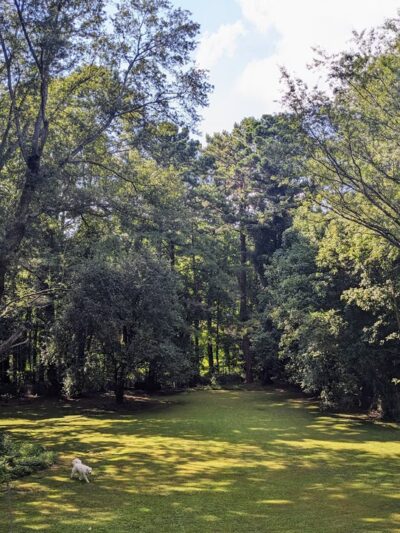 Brockett Bark Park (PRIVATE) - Tucker, GA