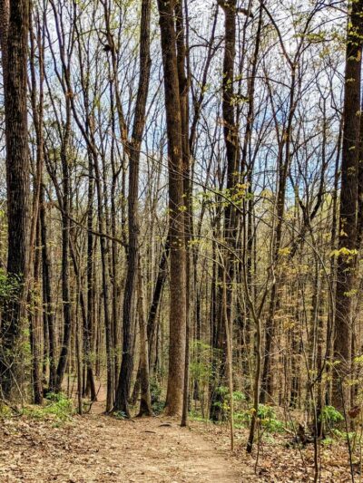 Henderson Park Dog Park - Tucker, GA