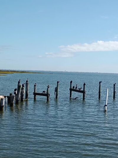 South Green Street Park - Tuckerton, NJ
