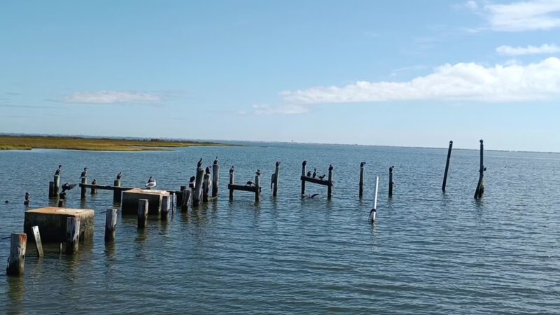 South Green Street Park - Tuckerton, NJ