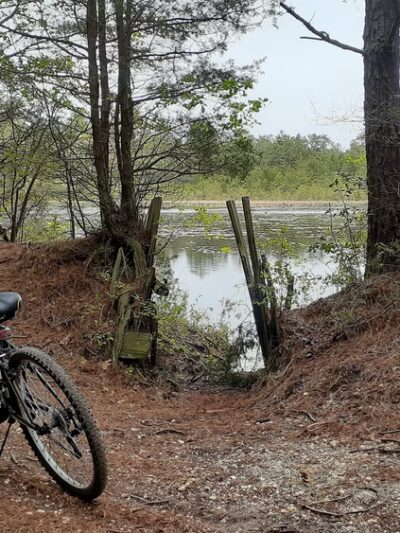 Batona Trail Southern Trailhead - Tuckerton, NJ