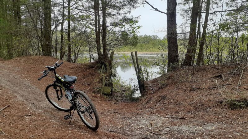 Batona Trail Southern Trailhead - Tuckerton, NJ