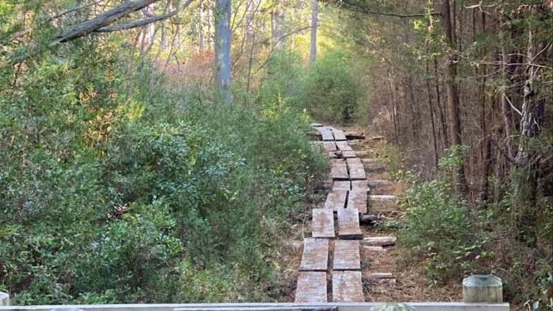 Batona Trail Southern Trailhead - Tuckerton, NJ