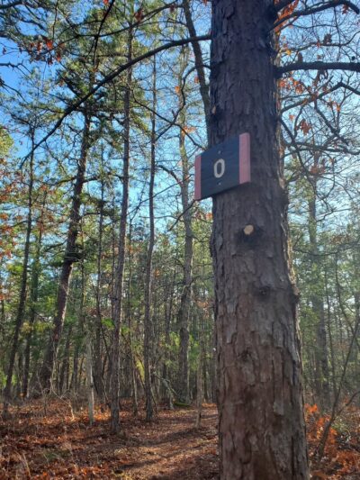 Batona Trail Southern Trailhead - Tuckerton, NJ