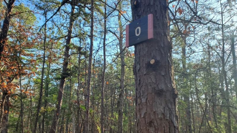 Batona Trail Southern Trailhead - Tuckerton, NJ
