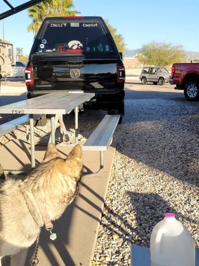 Agave Gulch FamCamp Dog Park - Tucson, AZ