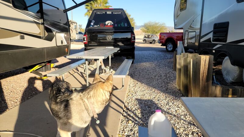 Agave Gulch FamCamp Dog Park - Tucson, AZ