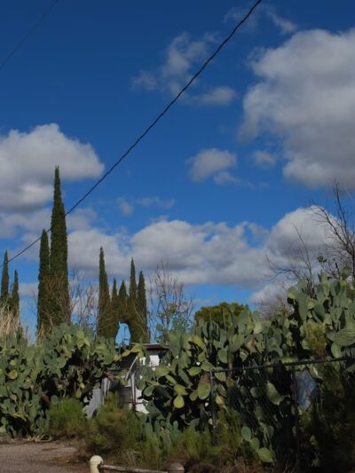 Catalina Neighborhood Park and Recreation Center - Tucson, AZ