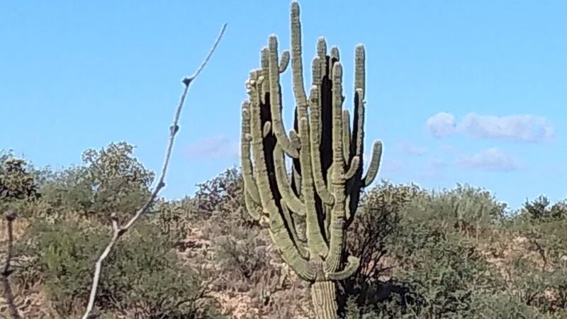 Catalina Neighborhood Park and Recreation Center - Tucson, AZ