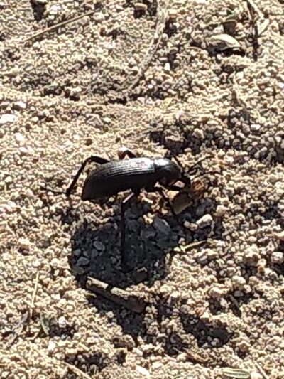 Catalina Neighborhood Park and Recreation Center - Tucson, AZ