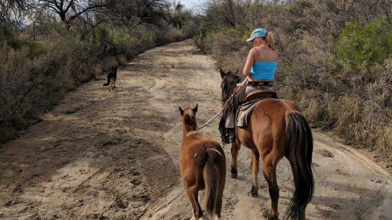 Catalina Regional Park - Tucson, AZ