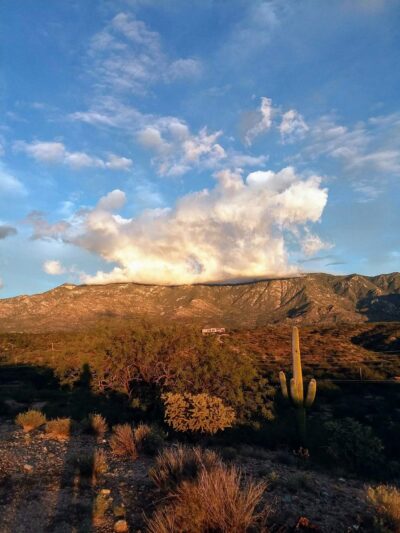 Catalina Regional Park - Tucson, AZ