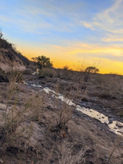 Catalina Regional Park - Tucson, AZ