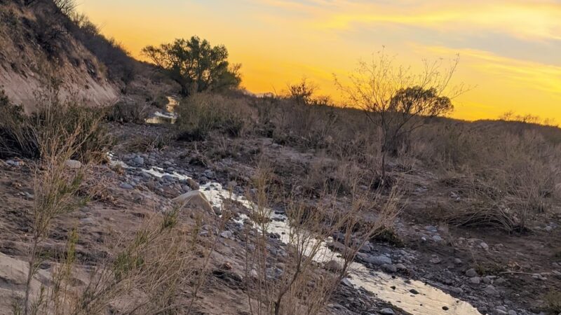 Catalina Regional Park - Tucson, AZ