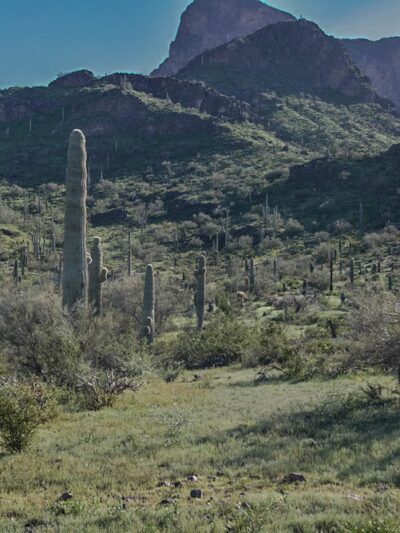 Catalina Regional Park - Tucson, AZ