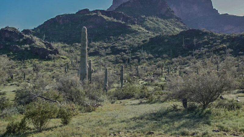 Catalina Regional Park - Tucson, AZ