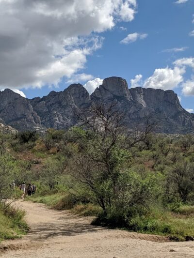 Catalina State Park - Tucson, AZ