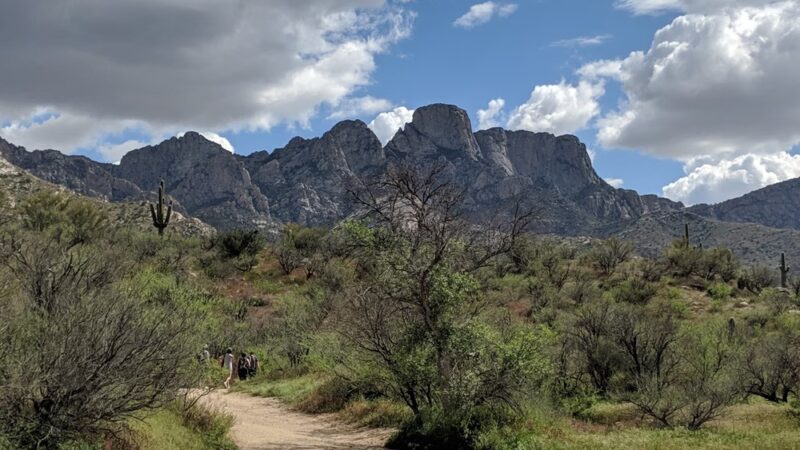 Catalina State Park - Tucson, AZ