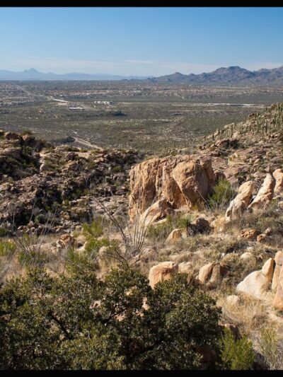 Catalina State Park - Tucson, AZ