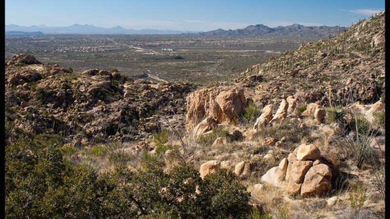 Catalina State Park - Tucson, AZ