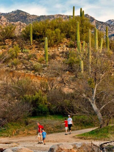 Catalina State Park - Tucson, AZ