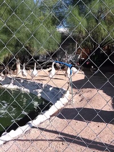 Conner Park - Tucson, AZ