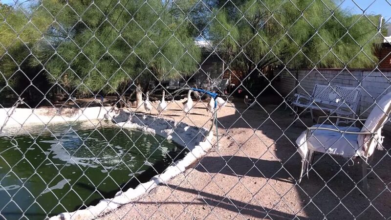 Conner Park - Tucson, AZ