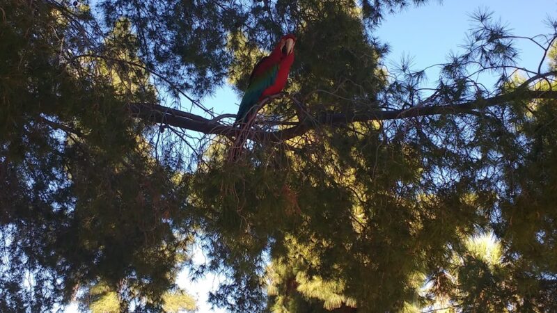 Conner Park - Tucson, AZ