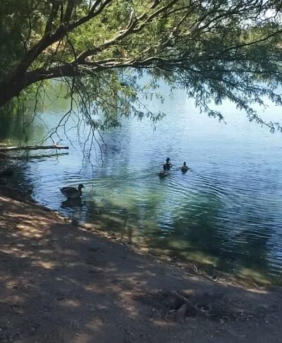 Danny Lopez Park - Tucson, AZ