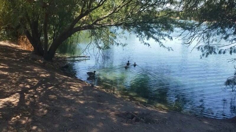 Danny Lopez Park - Tucson, AZ