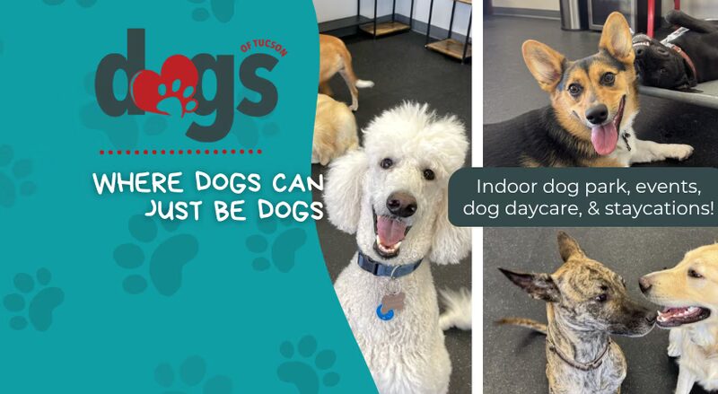 Dogs of Tucson - Tucson, AZ