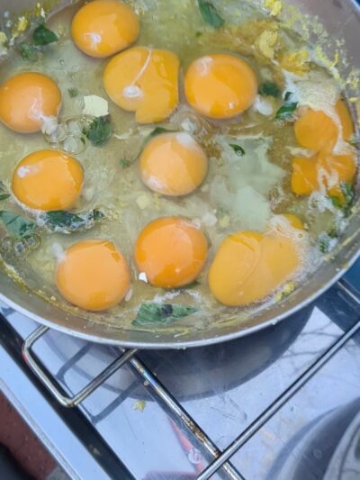 Feld Davis Pocket Park - Tucson, AZ