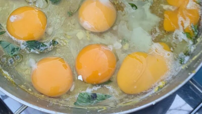 Feld Davis Pocket Park - Tucson, AZ