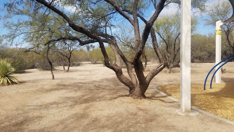 George Mehl Family Foothills Park - Tucson, AZ