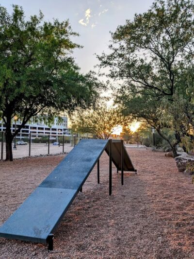 Iron Horse Dog Park - Tucson, AZ